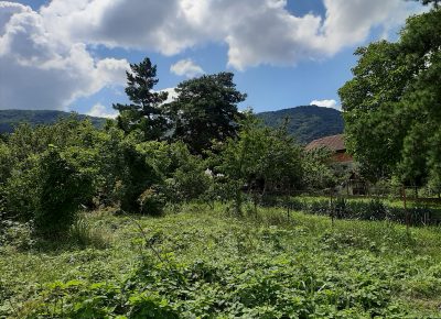 202007201117521595345786