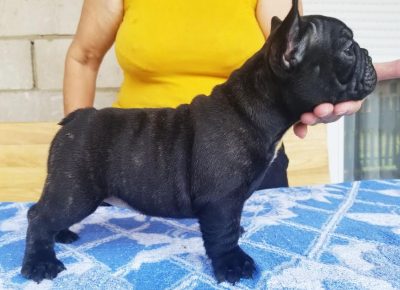 2VladimirM1595707684