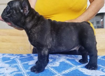 4VladimirM1595707689