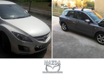 delovizamazdumladenovac(1)1594803549