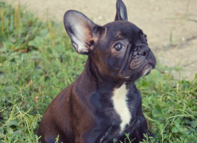 pivarskif41594839077