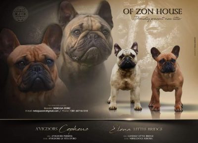 1NebojasaZ1598529136