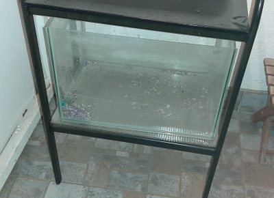 202008091136141596996087