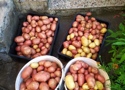 IMG202007041851051597828112