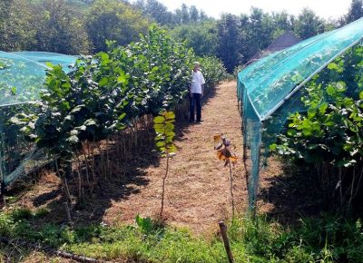 slike20202691597424752