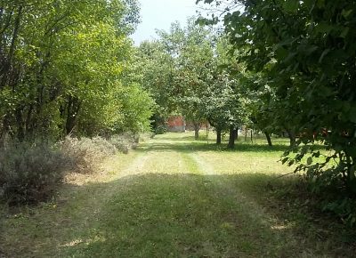 201808071246011599301755