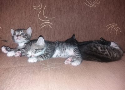 202008231147161599254151