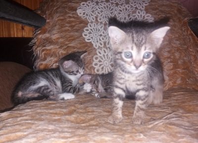 202008301313291599254148