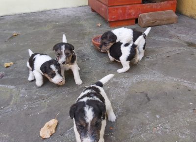 202009131128101600606209