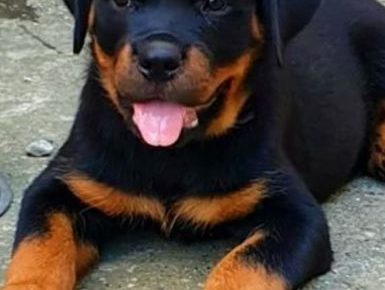 1212605516473073093067721697905253837243436n1602428844