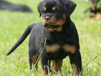 1212642638228774117883687416170669481500697n1602428844