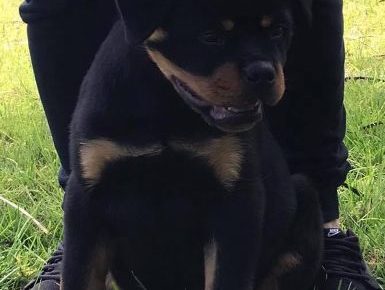 121276564283783958298635589376667511949679055n1602428845