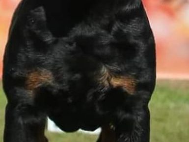 12127656428378395829863558937666751194967906n1602428845