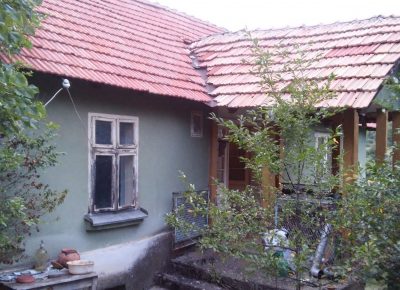 202008041923391603246341