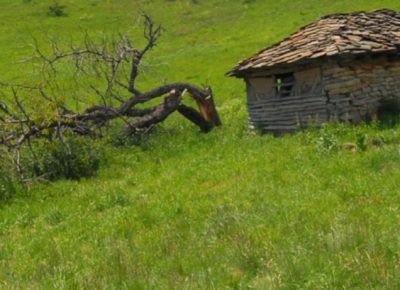 20201019100652(1)1603180902