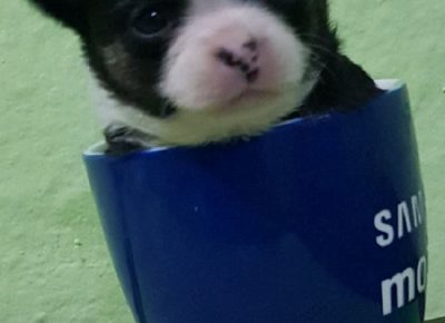 5IgorDujin1603295222