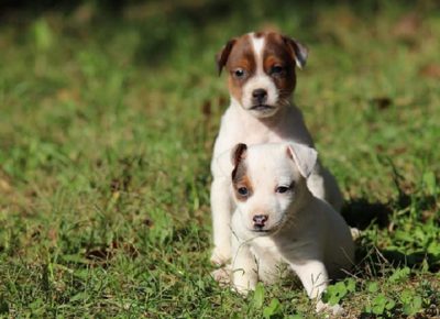 7dzekraselt1603401020