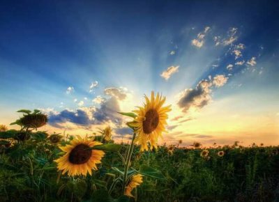 FBIMG151682708281765641601856822