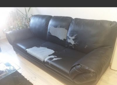 IMG37cddf8a2af3c157f004c4b9afa12553V1603920409