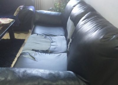 IMGb5263b2728e5498c3f07fe707adb7a60V1603920408