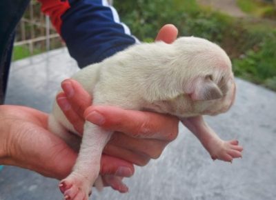 Screenshot111602439339