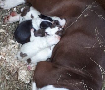 Screenshot11602439340