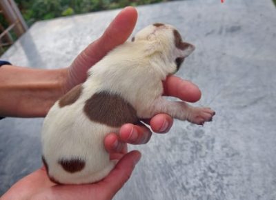 Screenshot121602439341