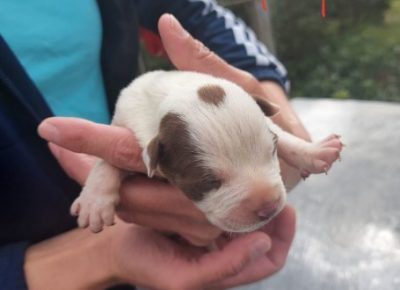 Screenshot131602439340