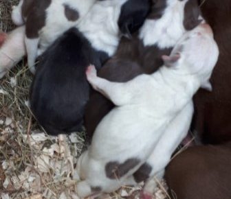 Screenshot21602439342