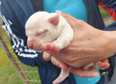 Screenshot51602439342