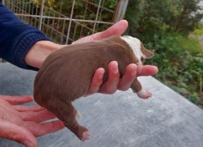 Screenshot71602439341