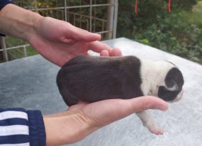 Screenshot91602439340