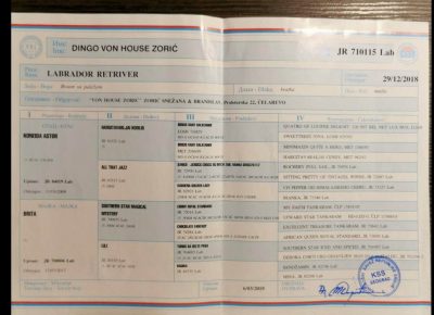 okoželjko51602618896