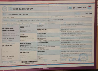 okoželjko61602618898