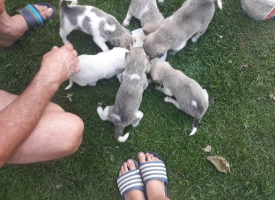 viberimage202010011439301601572324