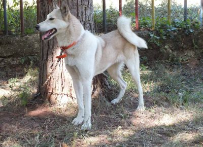 viberimage202010011439311601572330