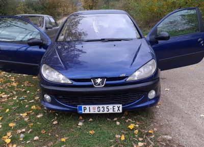 202010311307221604302822