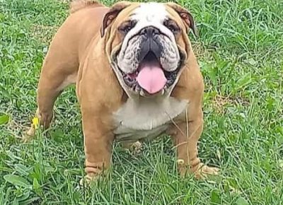 9Aleksandar1605703885