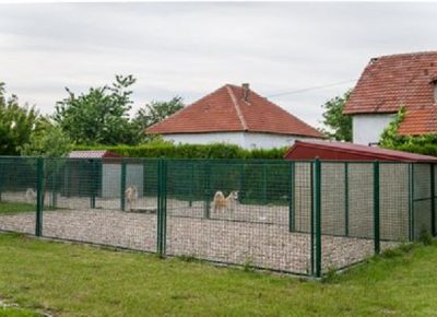 9Sasa21605212311