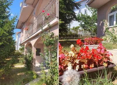 DomzastareRakovica(3)1606488419