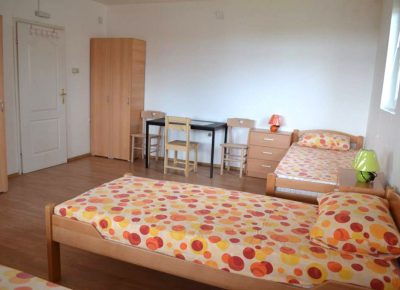 DomzastareRakovica(6)1606488417