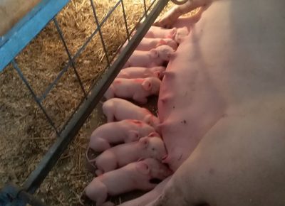 IMGd4e08d346b693da4d49c0a26cb7b3ebaV1604429922