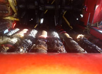 viberimage202011251831jpg1606646018