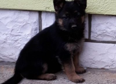 viberimage202011271812021606564876