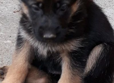 viberimage202011271812101606564874