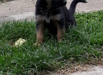 viberimage202011271812131606564876