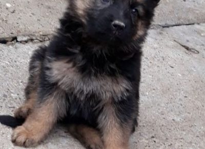 viberimage202011271812141606564876