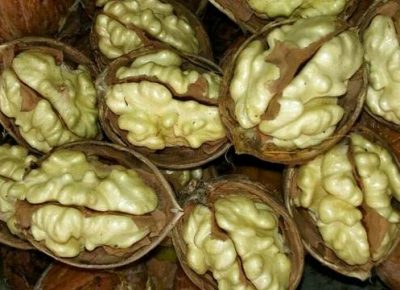 vocnesadnicekalemproduktorahchandler1604847108