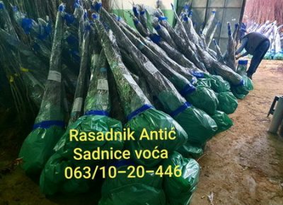 03viberslika20191206132710najmanja1606954404