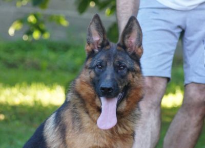 1315941709228606747858358671054906885979051n1608152192